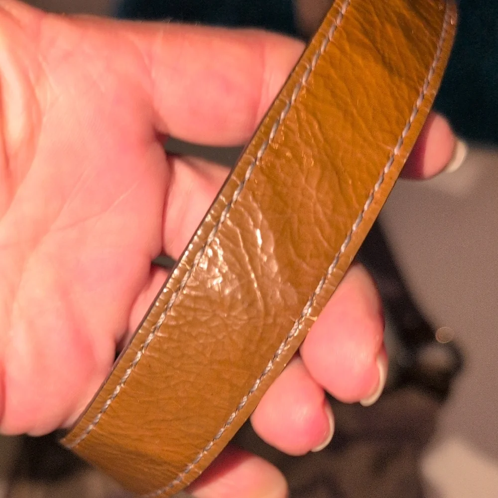 Coach Tan, Brown and Purple Crossbody Bag